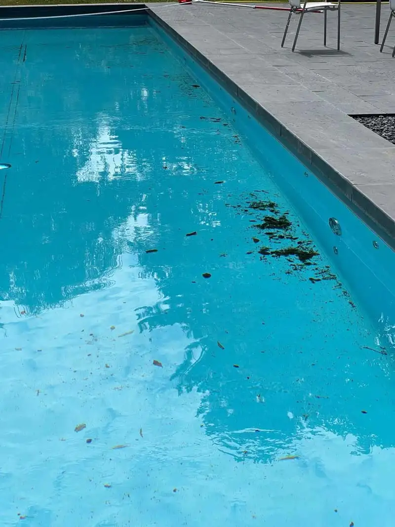 Dreck und Blätter in Pool